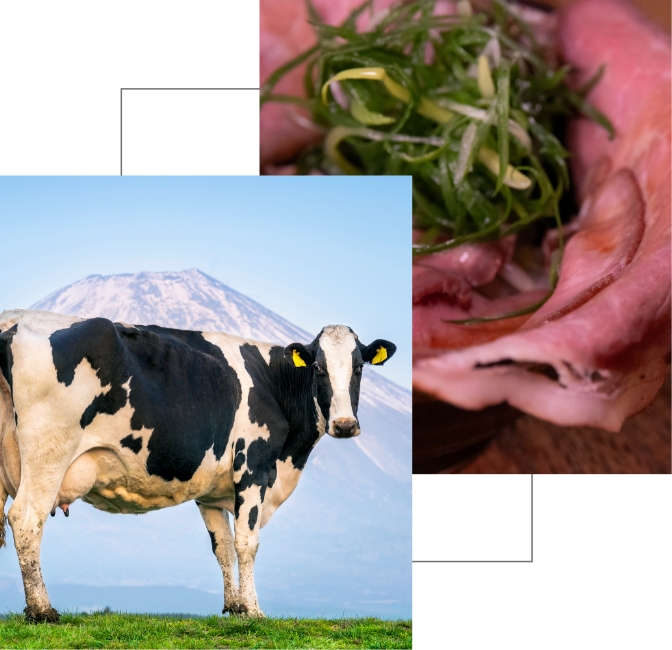 自家製のちゃーしゅー